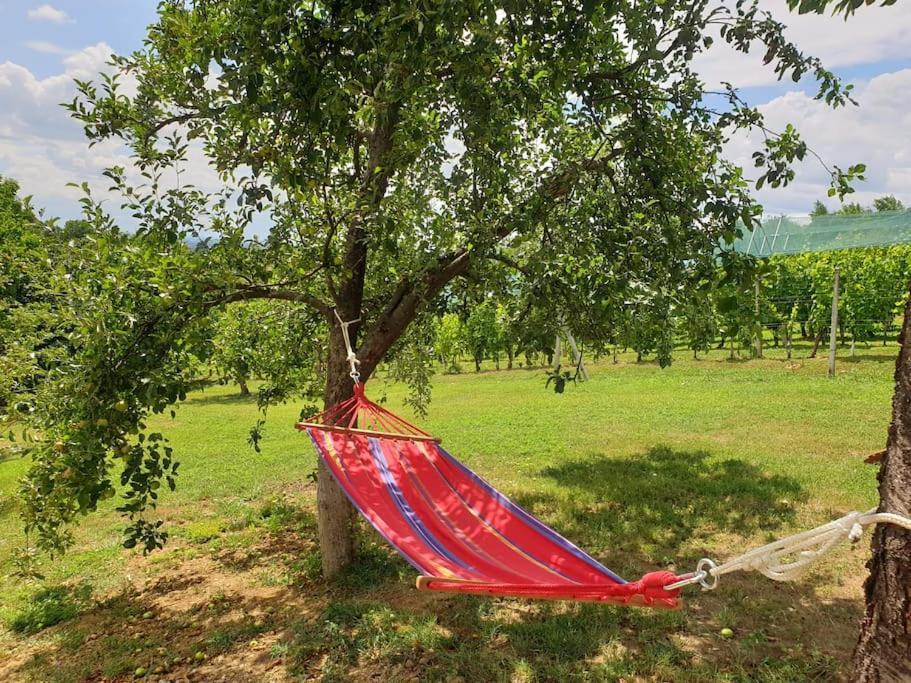 Kuca Za Odmor Villa Cesarica - Zagreb Graberje Ivanićko Dış mekan fotoğraf